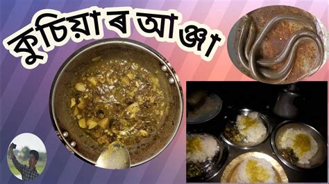 How To Cook Swamp Eel How To Cook Fish Curry