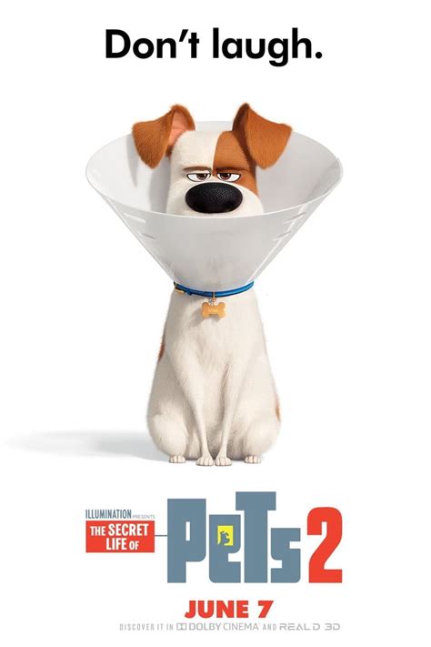 The Secret Life Of Pets 2 2019 Posters — The Movie Database Tmdb