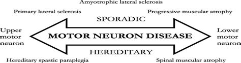 Clinical Spectrum Of Motor Neuron Disorders Continuum Lifelong