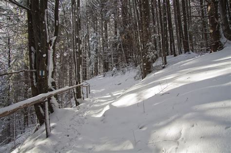 Winter Images From Ceahlau Mountain