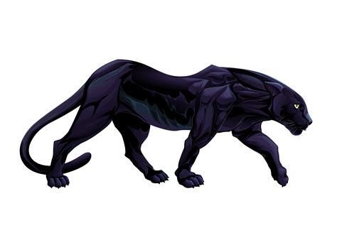 Black Panther Leopard Vector Graphics Tiger Illustration Black