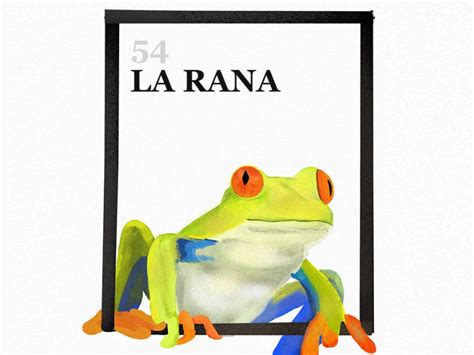 The Frog Loteria By Carlos Grapher On Dribbble