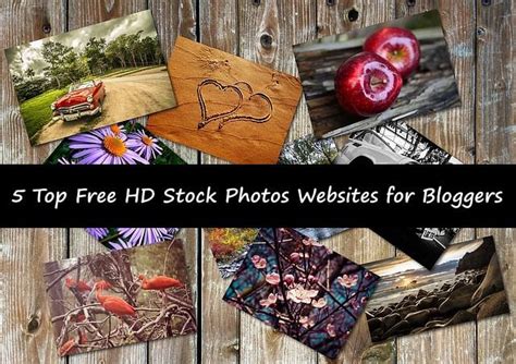 Top 5 Absolute Free Hd Stock Photos Websites For Bloggers Meralesson