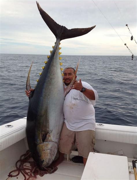 Where To Catch Bluefin Tuna And Yellowfin Tuna Top 8 Spots In The World