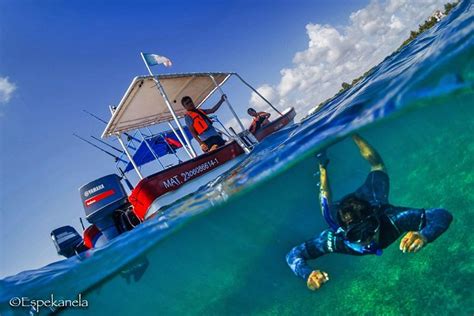 Costa Maya Shallow Reef Snorkeling Tour 2024