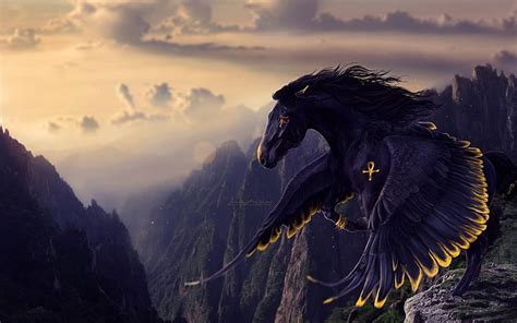 Pegasus 1080p 2k 4k 5k Hd Wallpapers Free Download Wallpaper Flare