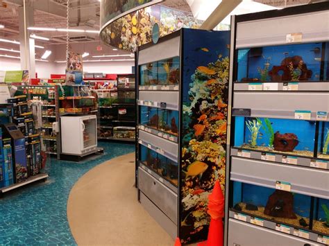 32 Hq Photos Pet Store In The Mall Advantages Of Going To A Shopping