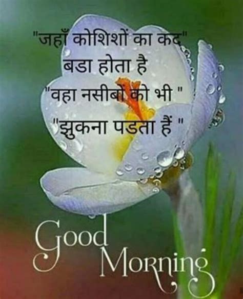 Pin By Seema Yadav On Good Morning Wishes Morning Images Good