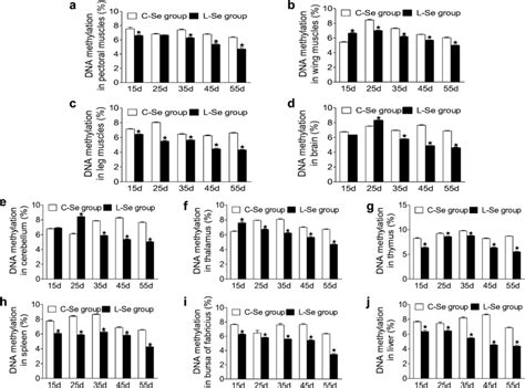 The Effects Of Se Status On The Dna Methylation Levels In Tissues Dna Download Scientific