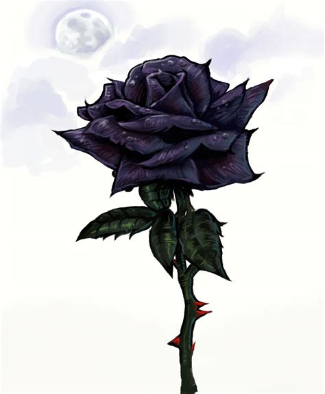 Black Rose Black Roses Fan Art 23861419 Fanpop