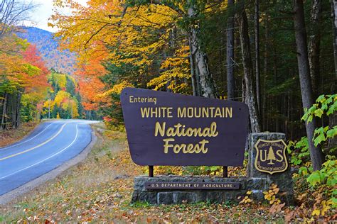 New Hampshire Foliage Experience Fall In The White Mountains