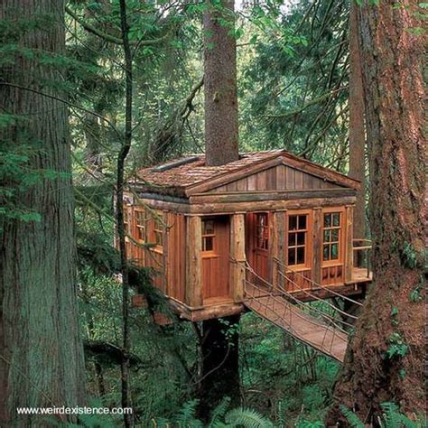 Amazing Tree House Nupics Pro