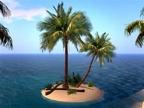 Read reviews from dining room at little palm island at 8th overseas hwy in summerland key 33042 from trusted summerland key restaurant reviewers. Second Life Marketplace - Palm Tree Island - Small island ...