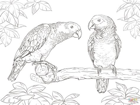 Free Printable Parrot Coloring Pages Free Printable A To Z