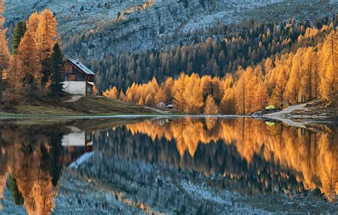Wallpaper Forest Trees Autumn Lake Cabin Images For