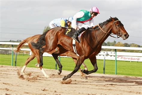Horse Racing Race Equestrian Sport Jockey Horses Wallpapers Hd