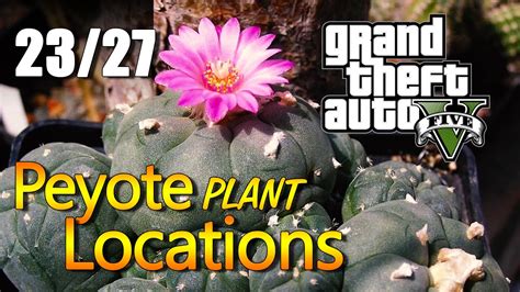 Gta 5 Peyote Plant Locations 2327 Youtube