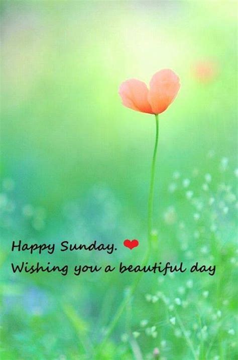 Happy Sunday Wishing You A Beautiful Day Pictures Photos And Images