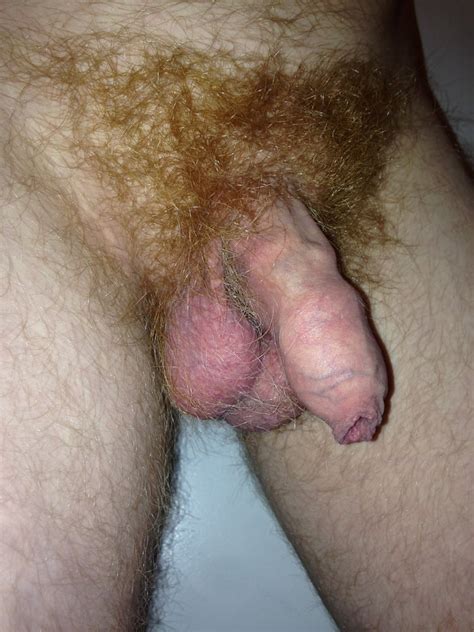 Hairy Ginger Cock Porn Videos Newest Hairy Ginger Cock Cum BPornVideos