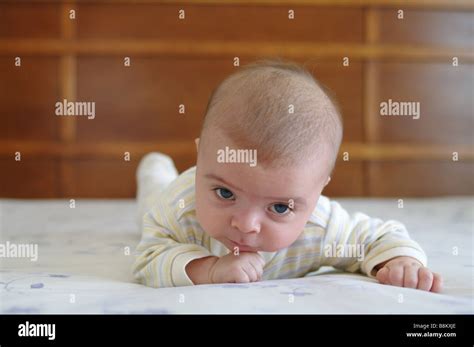 4 Months Old Baby Boy Stock Photo 22565606 Alamy
