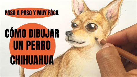 Te Digo C Mo Se Dibuja Un Perro Chihuahua Paso A Paso Muy F Cil Youtube