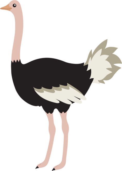 Cute Ostrich Bird Free Clip Art