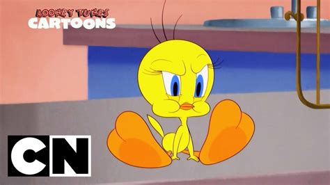 Looney Tunes Tweety Bird Visits The Doctors Cartoon Network Show