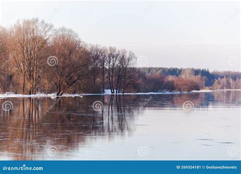 Spring On The River In The Sunlight Bare Brown Trees On The Far Bank