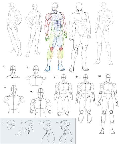 Male Antomy By Precia T On Deviantart Guy Drawing Anatomy Drawing