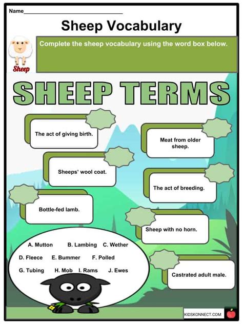Sheep Facts And Worksheets For Kids Origins Types Uses And Farming