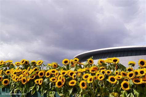 Though his ear has been lost to history, van gogh left behind around 2,100 artworks and 820 letters. A sunflower labyrinth at Van Gogh museum | Amsterdamian