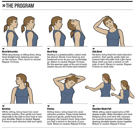 Exercises For Pinched Nerve In Neck And Upper Back Online Degrees