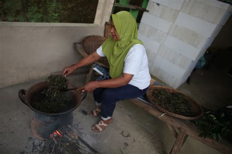 Info loker tegal yang selalu update. Perempuan dalam Secangkir Teh - Jelajah Kompas