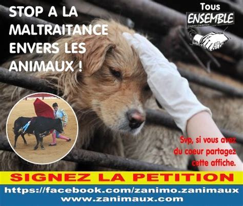 Maltraitance Envers Les Animaux Petitionenlignech
