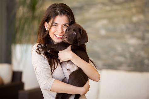 Si eres amante de los animales, estas profesiones son para ti