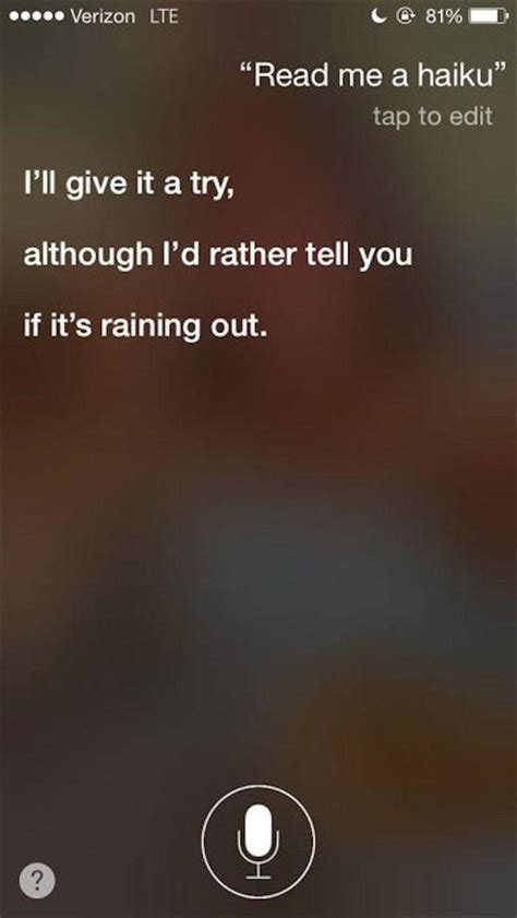 Oh Siri, You Never Disappoint Me - 20 Pics Cats have always been known for their cuteness and clever mind.