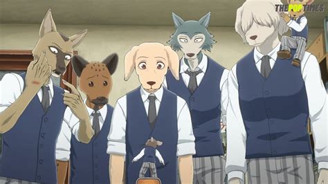Beastars Season 3 Release Date Is Yet To Be Announced Thepoptimes