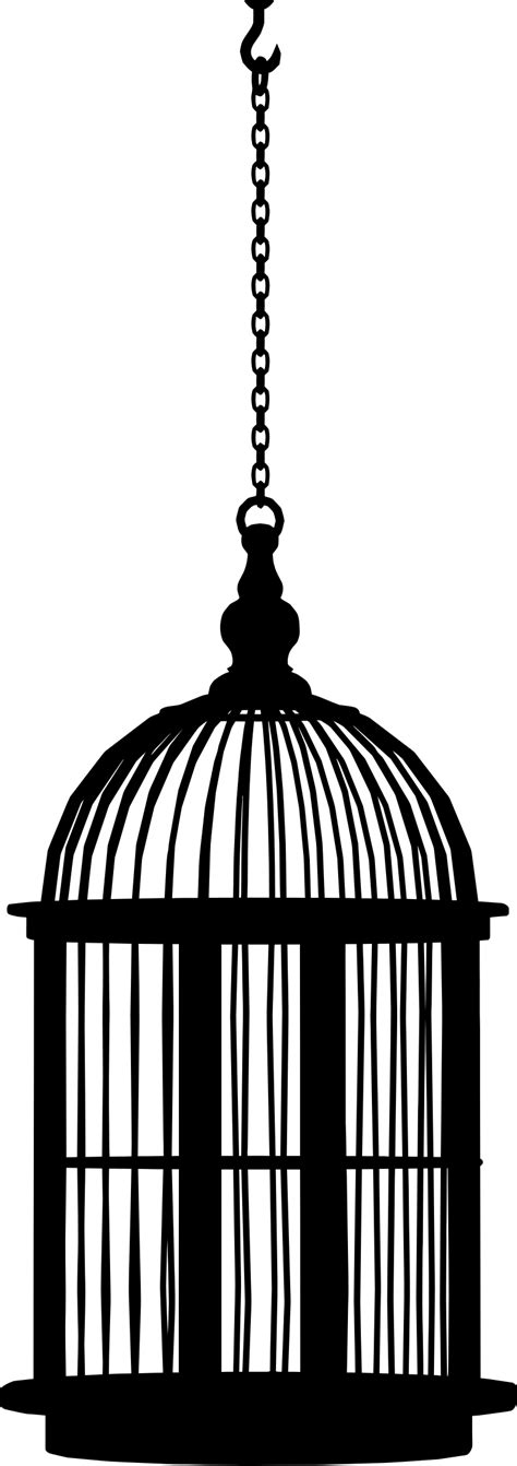 Cage Bird Png Transparent Image Download Size 798x2260px