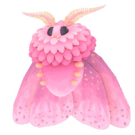 Peachyroyalty Cute Art Cute Moth Moth Art