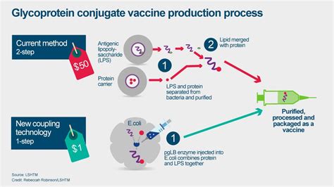 Cells store dna that holds coded instructions for making proteins. In search of better vaccines: creating the route to ending ...