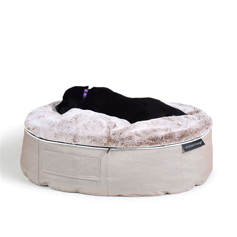 She goes through many different instances of moods. Pet Beds | Dog Beds - Designer Dog Bean Bags | Medium Size