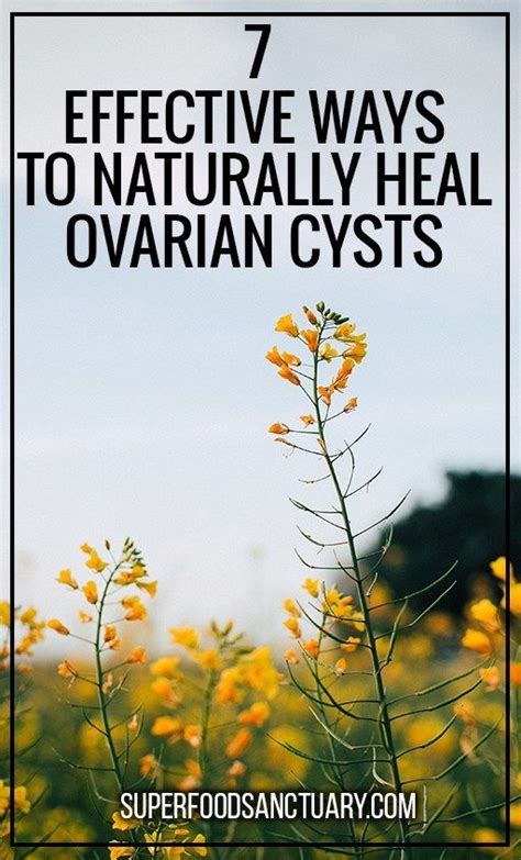 7 Natural Remedies For Ovarian Cysts That Actually Work Superfood