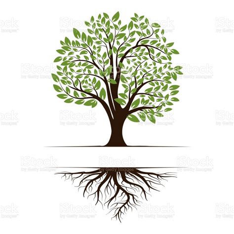 Logo Of A Green Life Tree With Roots And Leaves Vector Illustration