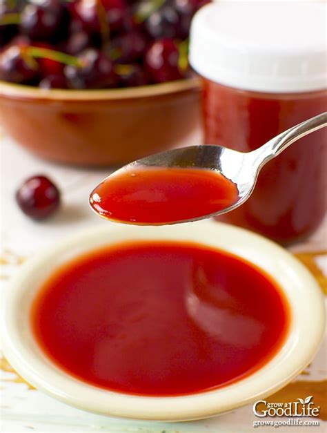 Sweet And Sour Cherry Sauce
