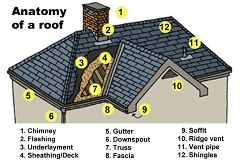 Homeowners Should Be Wary Of These Common But Costly Roof Installation
