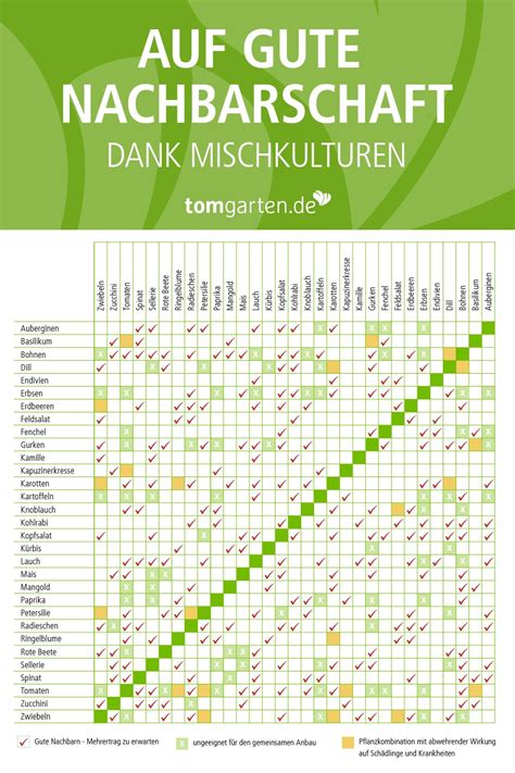 Unter berücksichtigung dieser tatsache, wann kann ich was pflanzen? Ernteerfolg dank Mischkultur in 2020 | Mischkultur ...