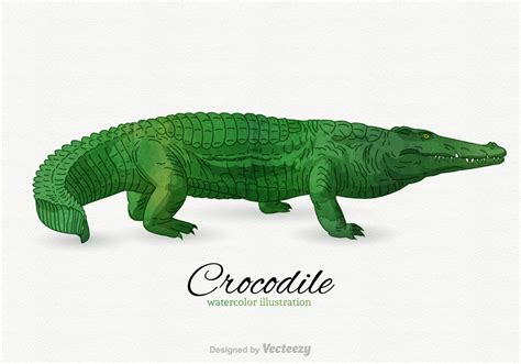 Crocodile Vector Illustration 102522 Vector Art At Vecteezy