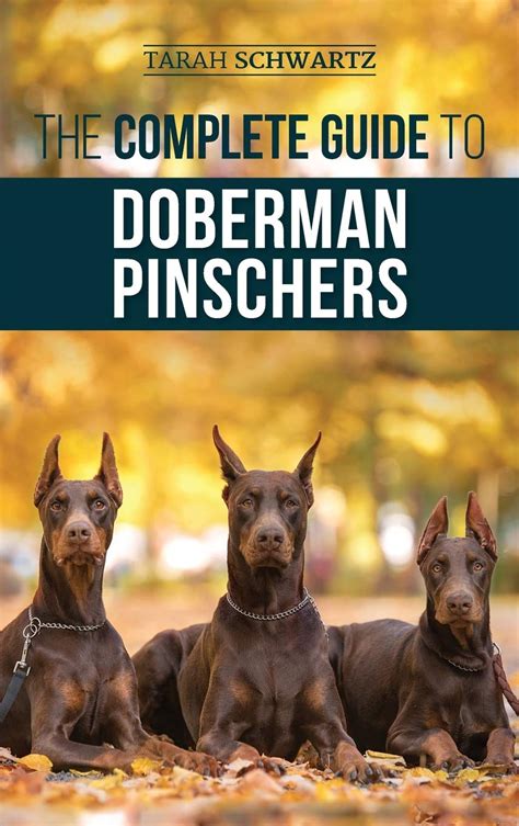 The Complete Guide To Doberman Pinschers Preparing For Raising