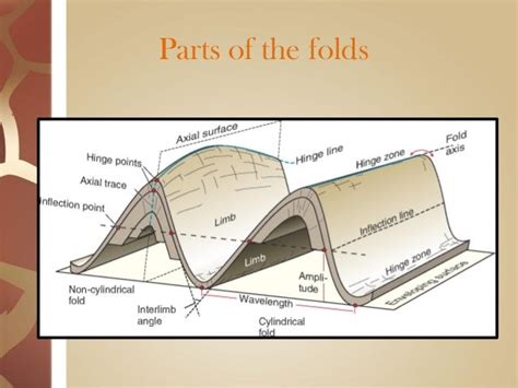 Folds And Foldings