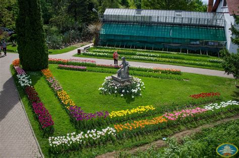 Spectacol în Natură în Grădina Botanică Din Cluj Napoca Locul în Care